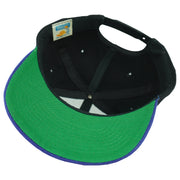 NFL (AJD) - Detroit Lions Embroidered Snapback Hat 1990s OSFA Vintage Retro Football