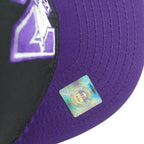 NCAA - Northwestern Wildcats Football Snapback Hat 1990s OSFA Vintage Retro
