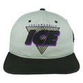 Vintage NHL (G Cap) - Indianapolis Ice IHL Snapback Hat 1990s OSFA in gray