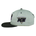 Vintage NHL (G Cap) - Indianapolis Ice IHL Snapback Hat 1990s OSFA in gray