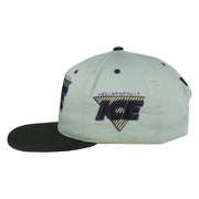 Vintage NHL (G Cap) - Indianapolis Ice IHL Snapback Hat 1990s OSFA in gray