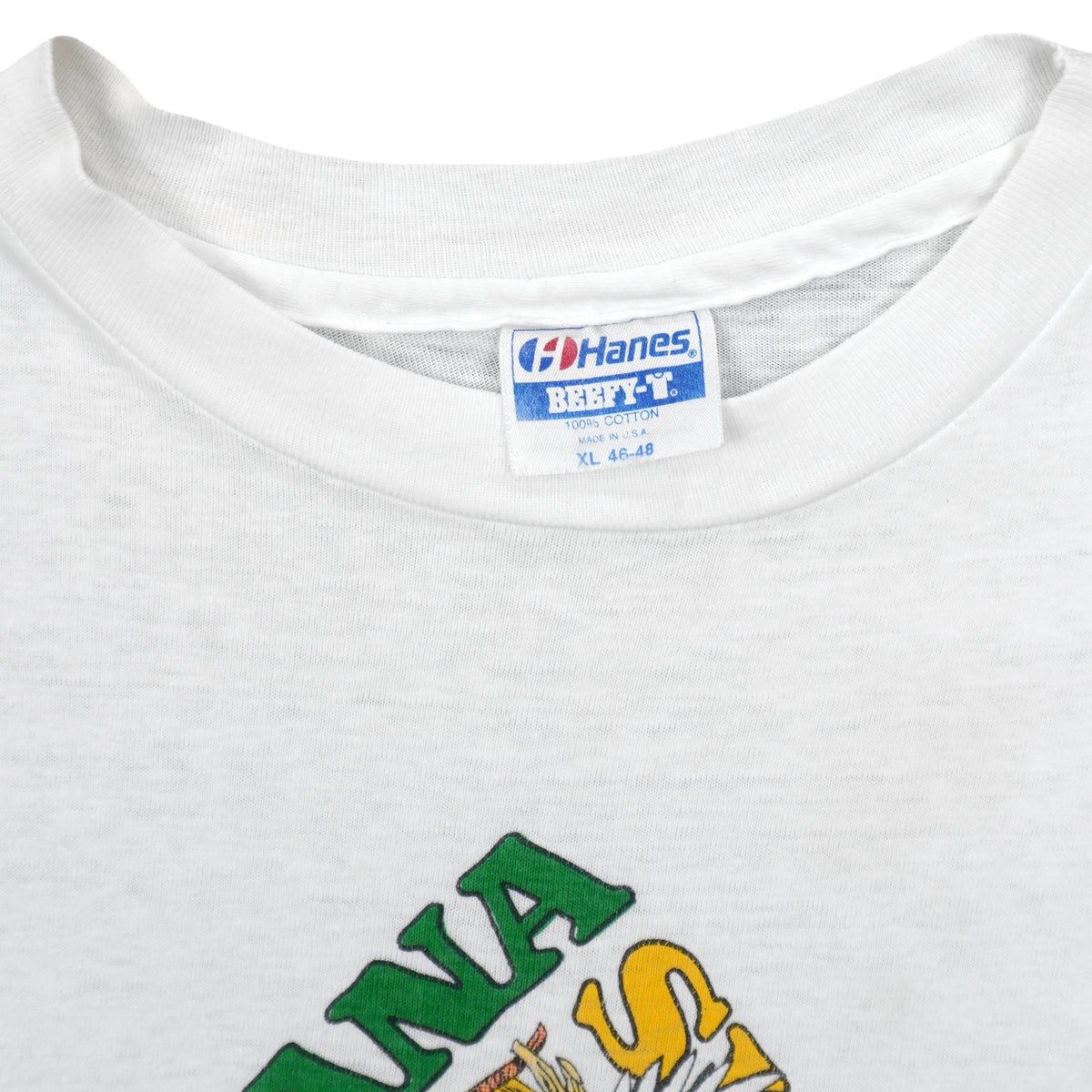Vintage (Hanes) - Louisiana Swamps Wildlife Paradise Alligator T-Shirt 1990s X-Large Vintage Retro