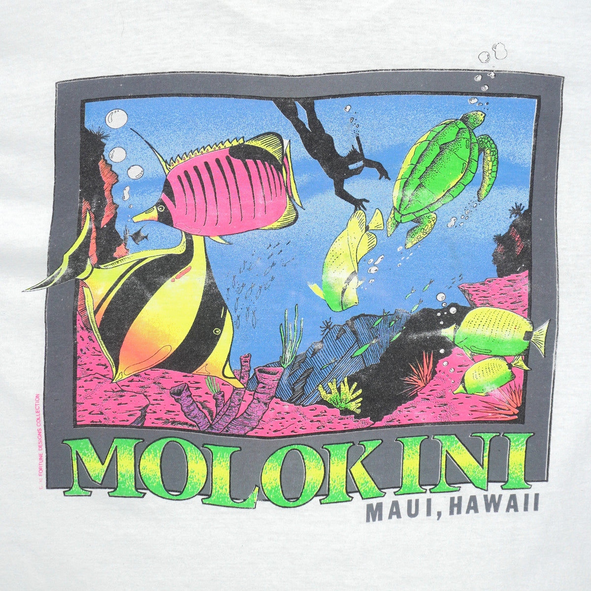 Vintage (Hanes) - Molokini Maui Hawaii T-Shirt 1990s Large Vintage Retro
