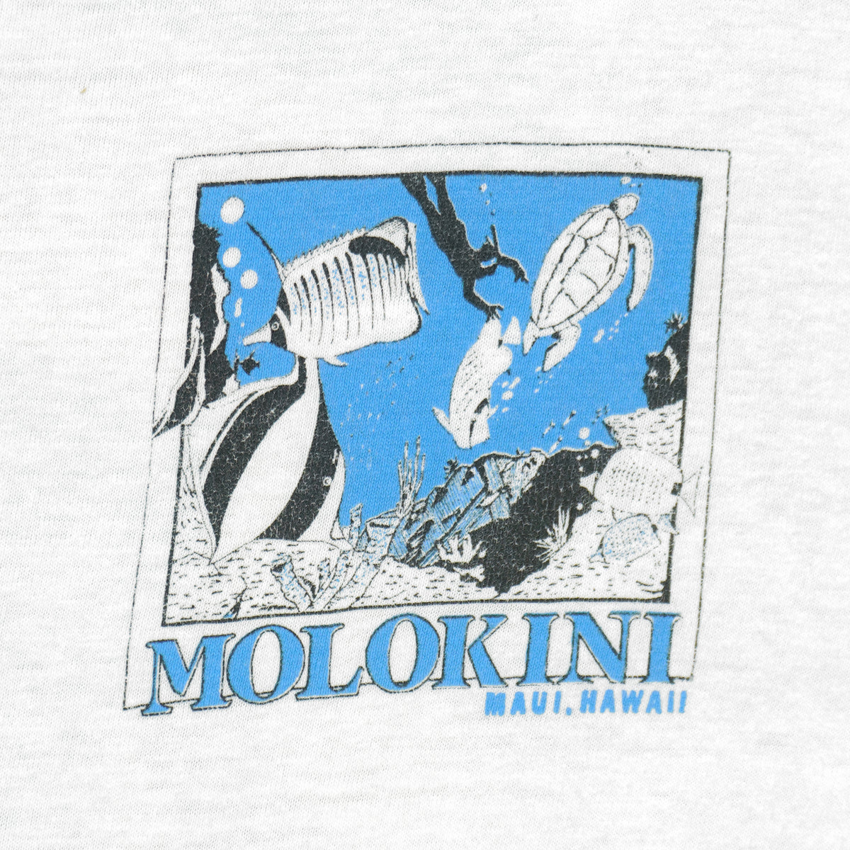 Vintage (Hanes) - Molokini Maui Hawaii T-Shirt 1990s Large Vintage Retro