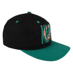Angled Dolphins cap showing a black crown, teal brim and segmented front embroidery