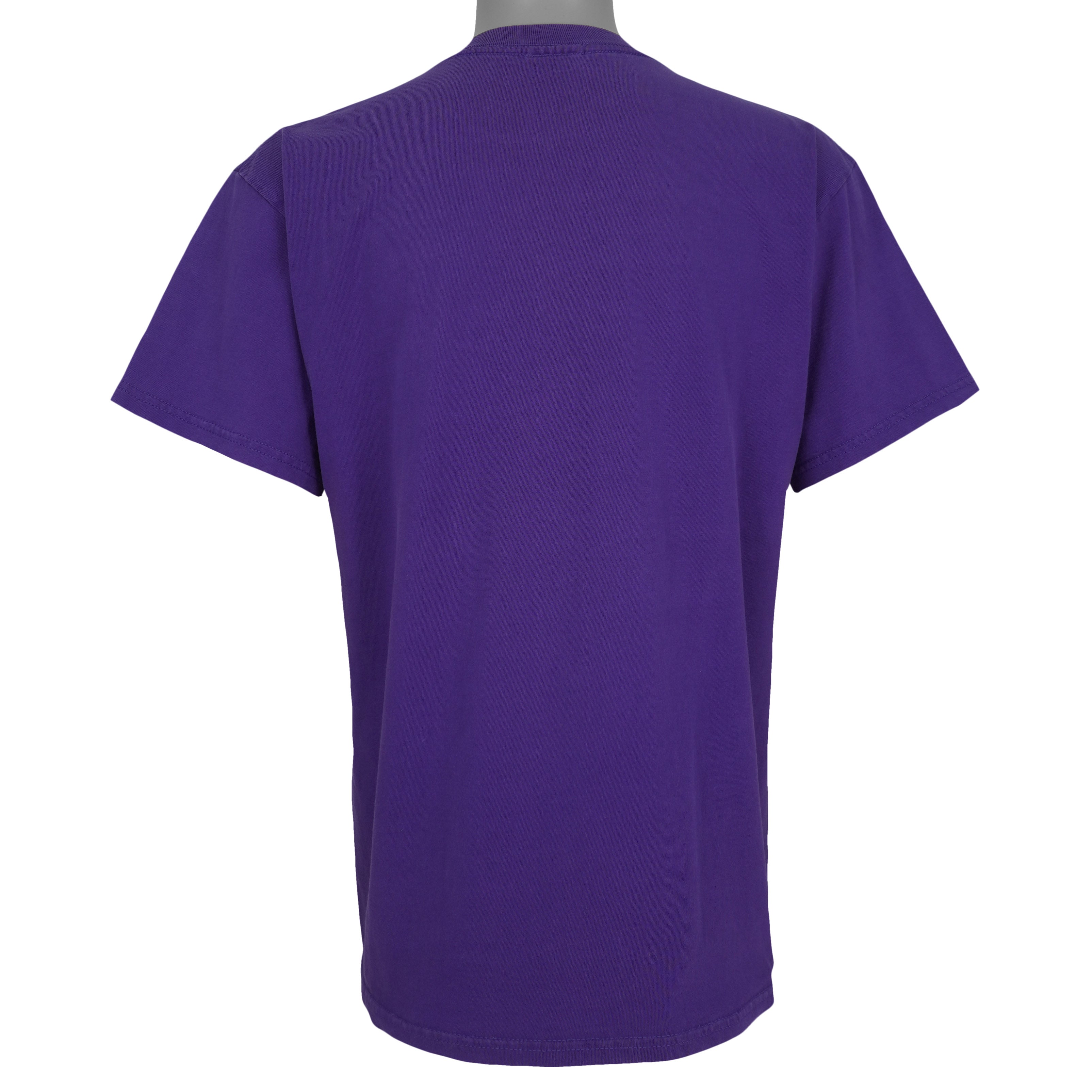 Back view of the purple Tampa Bay Devil Rays 2000 t-shirt showing plain back