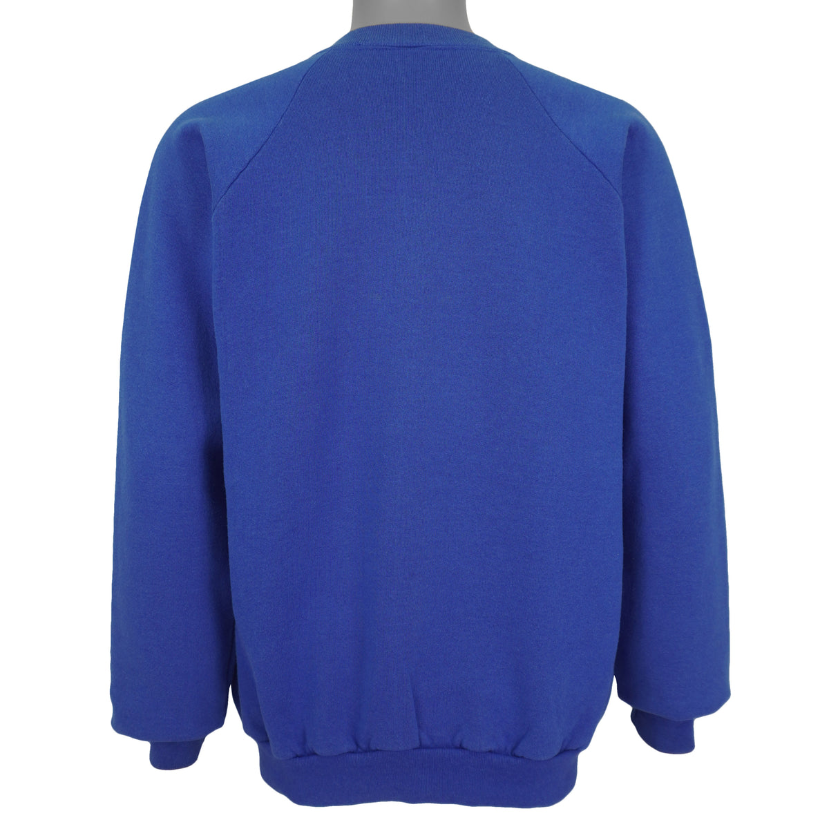 Back view of the royal blue Toronto Blue Jays 1989 American League Eastern Division Champions sweatshirt showing plain back