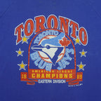 Close view of the faded 1989 Toronto Blue Jays Eastern Division Champions graphic