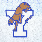 Close-up of the front BYU graphic with tan cougar artwork over a cracked blue outlined letter