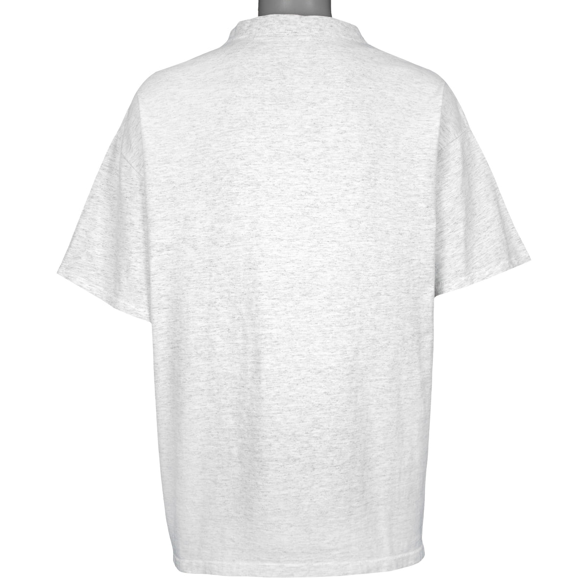 Full back view of the gray Detroit Lions football graphic T-shirt