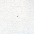Close view of small back spot on the white One Planet One People globe short sleeve graphic T-shirt