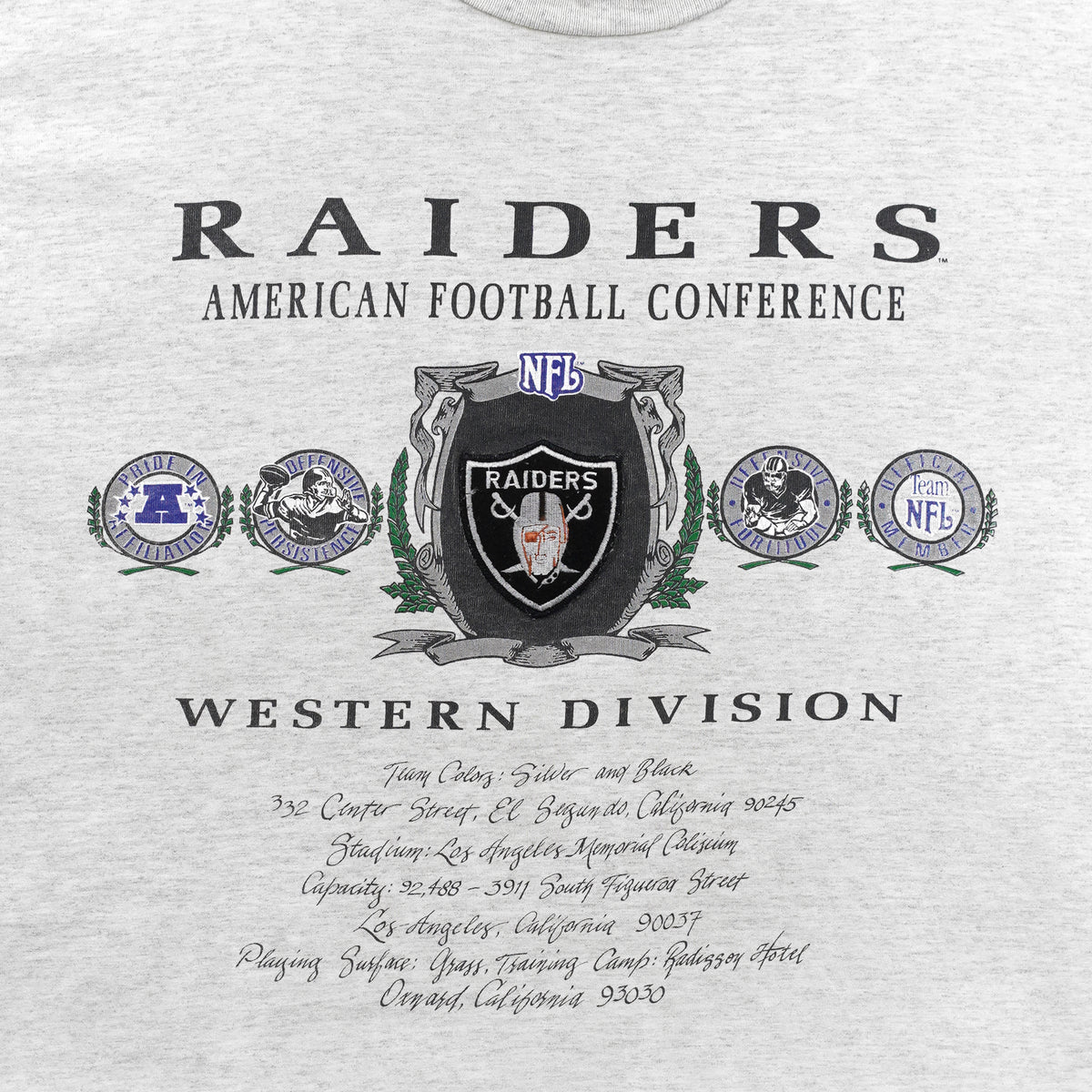 Vintage NFL (Nutmeg) - Los Angeles Raiders AFC Western Division T-Shirt 1990s Large in black and gray