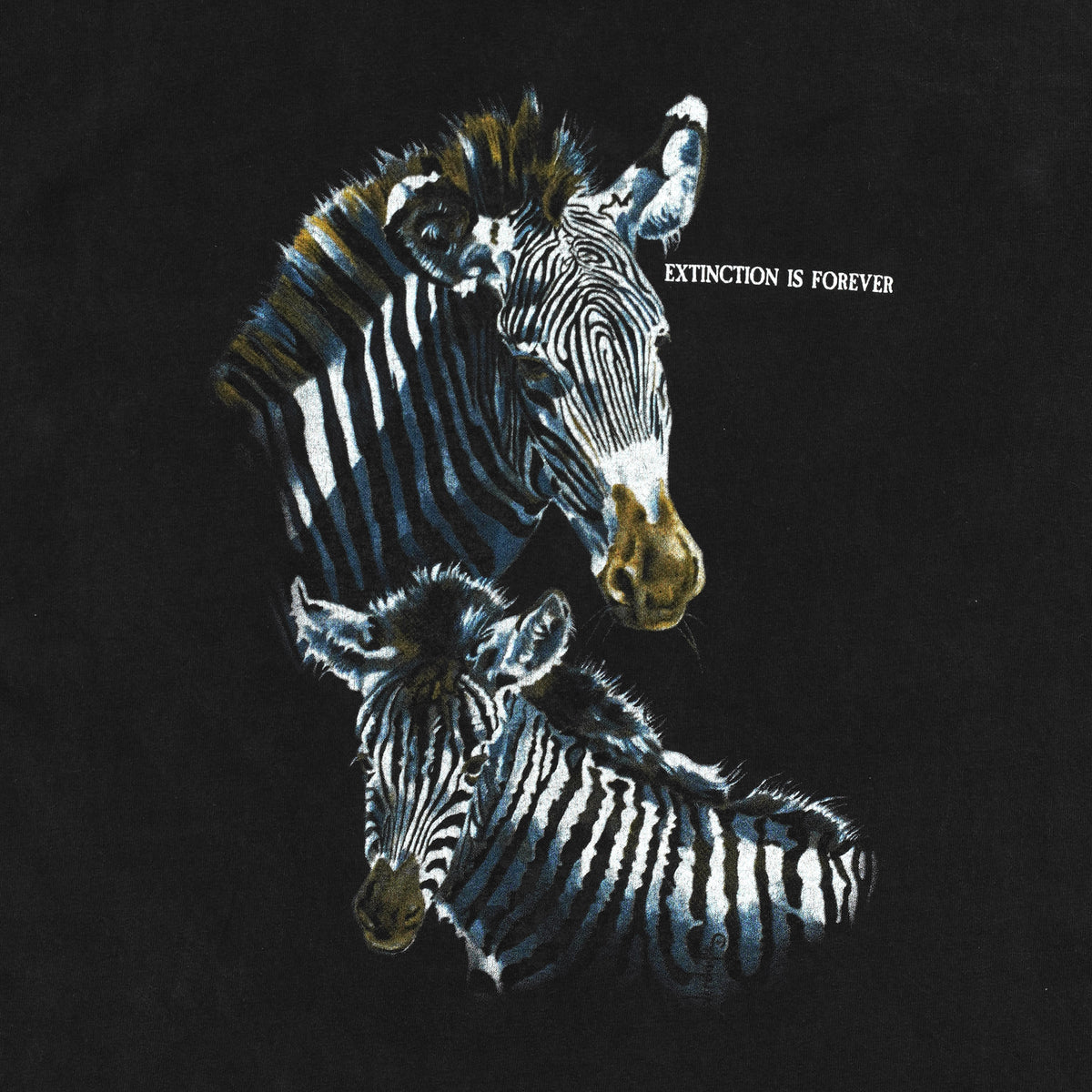 All Sport Events black zebra graphic T-shirt graphic detail