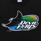 Close-up of the cracked Tampa Bay Devil Rays 1995 logo screen print