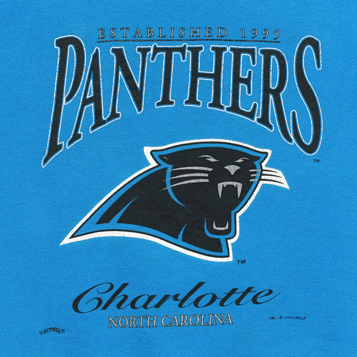 Close-up of the Carolina Panthers logo and Charlotte lettering