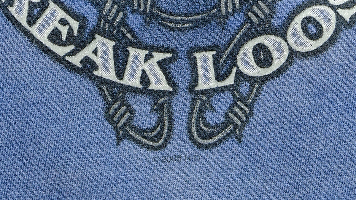 Harley Davidson - Smoky Mountain, Tennessee Spell-Out Top 2000s Medium Vintage Retro
