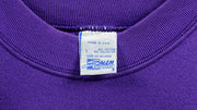 NBA (Salem) - Charlotte Hornets Crew Neck Sweatshirt 1990s Large Vintage Retro Basketball