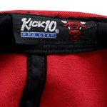 NBA (Kick 10) - Chicago Bulls Strapback Hat 1990s Adjustable Vintage Retro Basketball