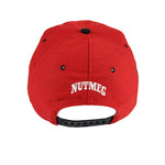 NFL (Nutmeg) - Indiana Hoosiers Snapback Hat 1990s Adjustable Vintage Retro Football