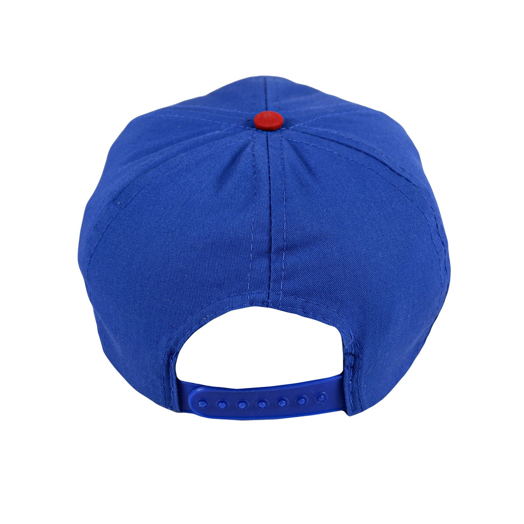 MLB - Chicago Cubs Snapback Hat 1990s Adjustable Vintage Retro Baseball