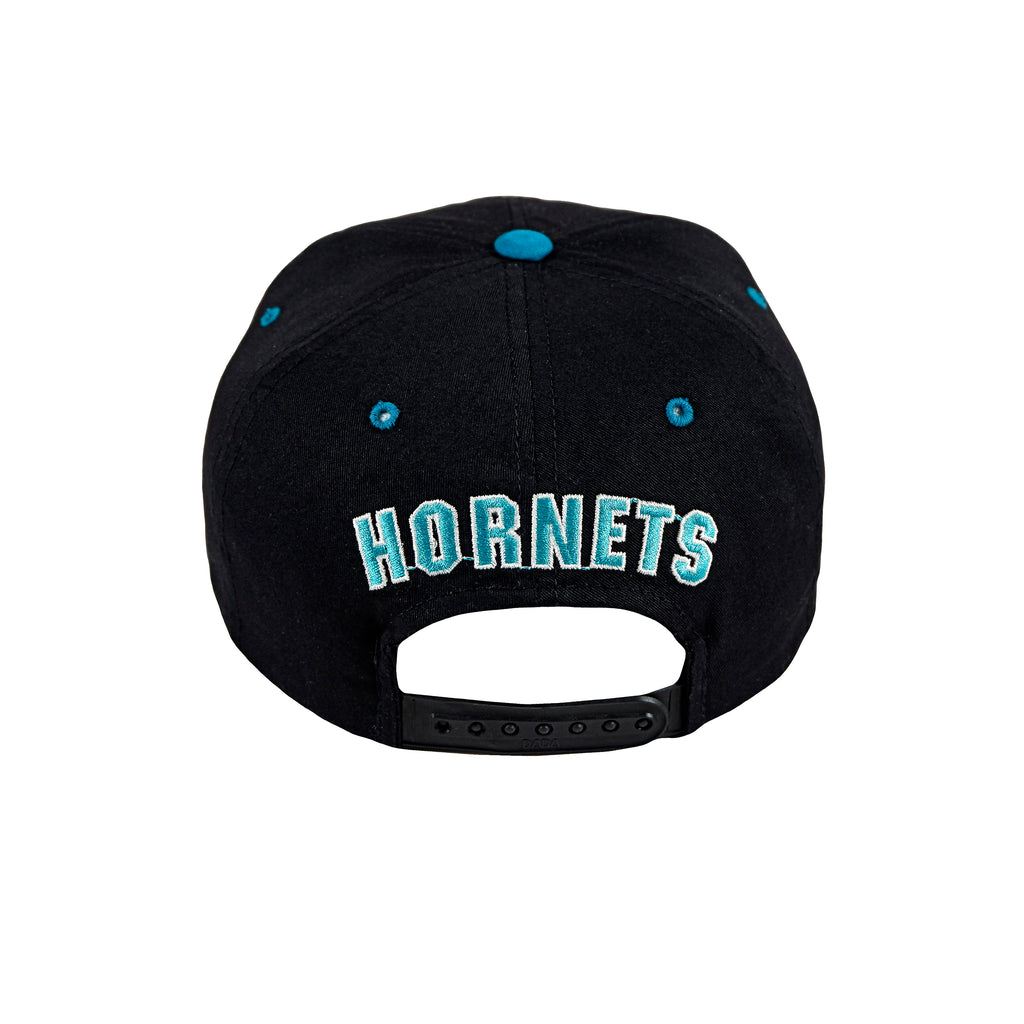 NBA (The Cap) - Charlotte Hornets Snapback Hat 1990s Adjustable Vintage Retro Basketball