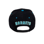 NBA (The Cap) - Charlotte Hornets Snapback Hat 1990s Adjustable Vintage Retro Basketball