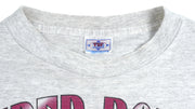NFL (TSF) - Super Bowl XXIX, 49ers VS Chargers T-Shirt 1995 X-Large Vintage Retro Football