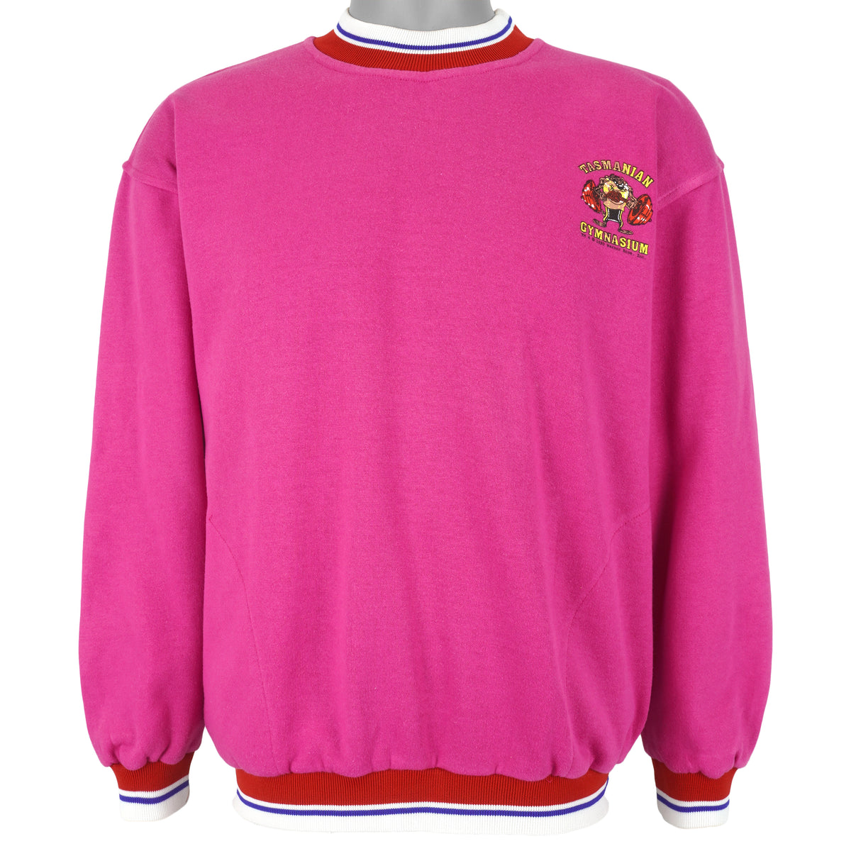 Looney Tunes - Tasmanian Gymnasium Spell-Out Sweatshirt 1990 Large Vintage Retro