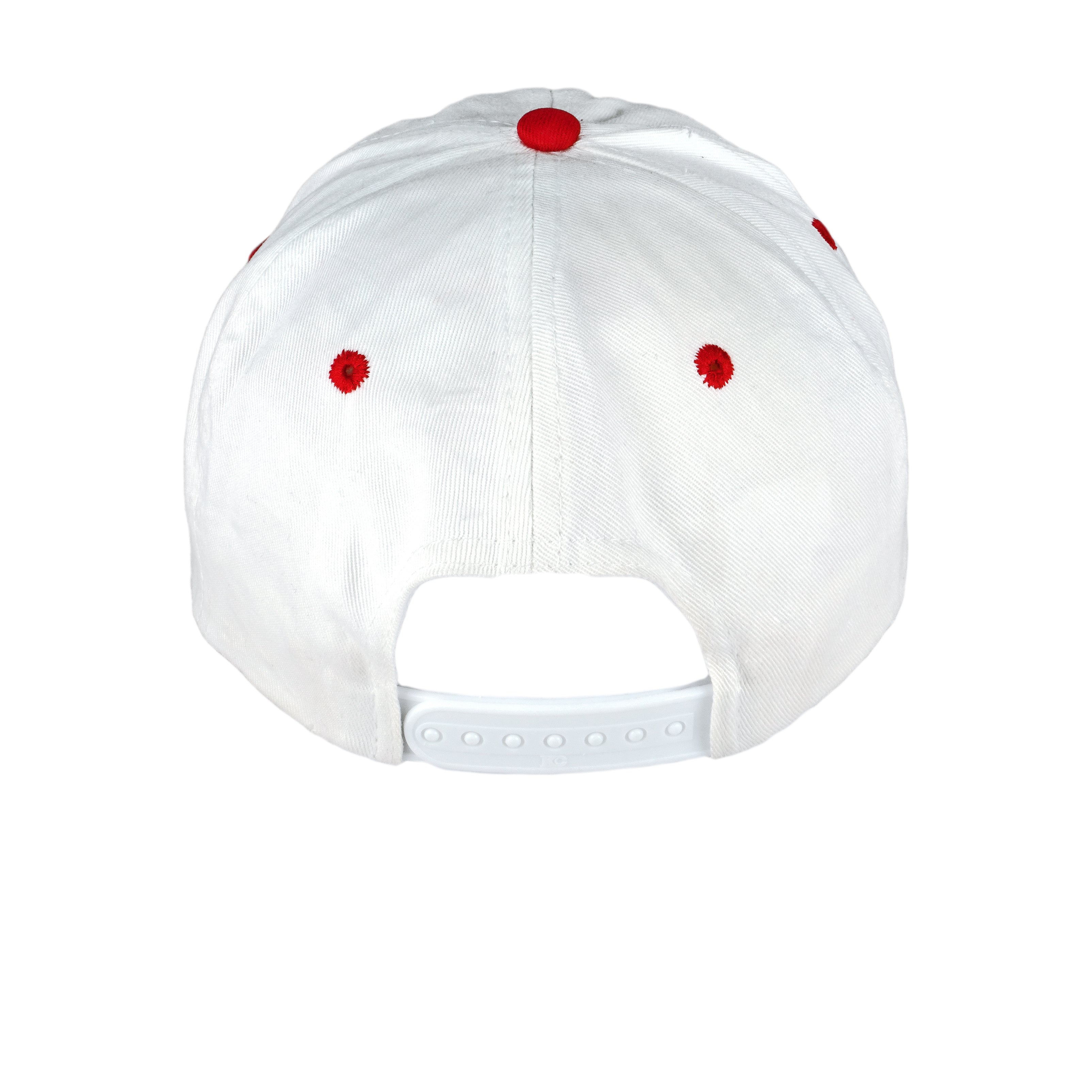 MLB - Cardinals - McGwire Smashing The Record Snap Back Hat 1990s OSFA Vintage Retro Baseball
