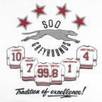 Vintage - Soo Greyhounds Crew Neck Sweatshirt 1990s Large Vintage Retro