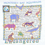 Vintage (Hanes) - Endangered Animals T-Shirt 1990s Medium Vintage Retro