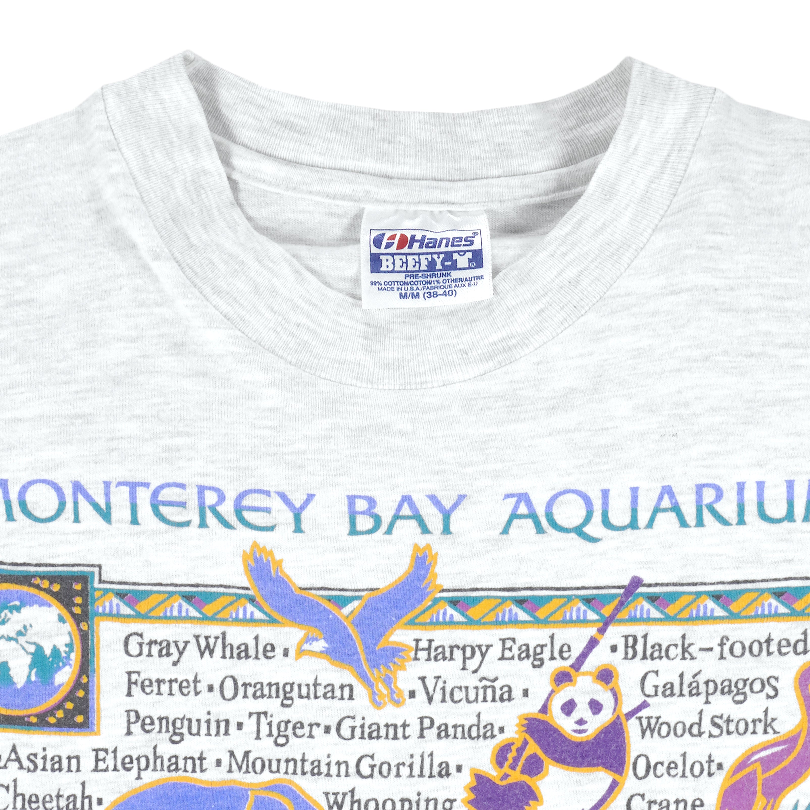 Vintage (Hanes) - Endangered Animals T-Shirt 1990s Medium Vintage Retro