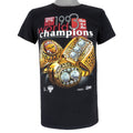 NBA (Salem) - Chicago Bulls, World Champions T-Shirt 1993 Small Vintage Retro Basketball