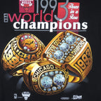 NBA (Salem) - Chicago Bulls, World Champions T-Shirt 1993 Small Vintage Retro Basketball