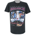NHL - Colorado Avalanche, Stanley Cup Champions T-Shirt 1990s Large Vintage Retro Hockey