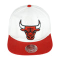 NBA - Chicago Bulls Embroidered Logo Adjustable Hat 1990s OSFA Vintag Retro Basketball