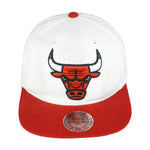 NBA - Chicago Bulls Embroidered Adjustable Hat 1990s OSFA