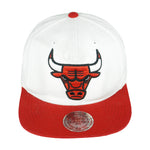 NBA - Chicago Bulls Embroidered Logo Adjustable Hat 1990s OSFA Vintag Retro Basketball