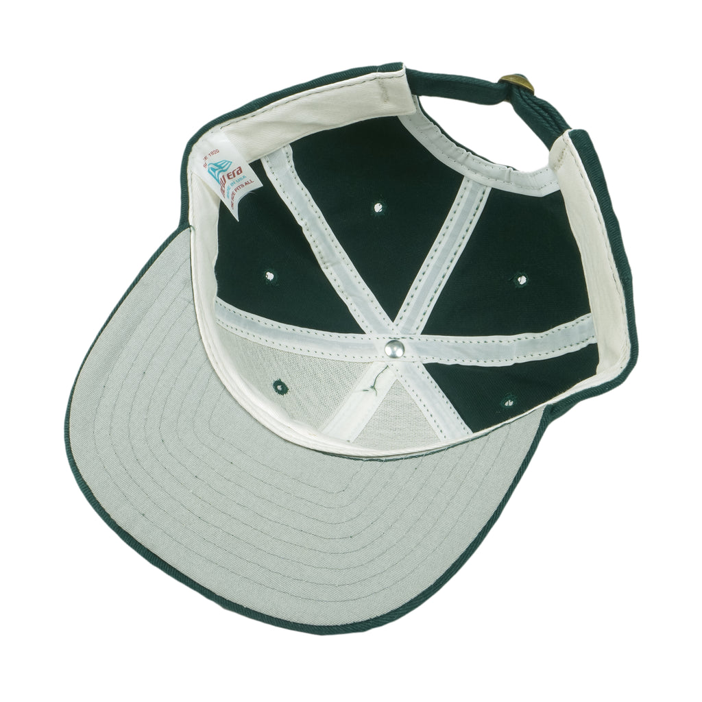 NHL (New Era) - Dallas Stars Pacific Division Champions Strapback Hat 2000 OSFA Vintage Retro Playoffs