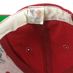 NCAA (The Game) - University of South Carolina Gamecocks 3D-Puff Embroidered Snapback Hat 1990s OSFA