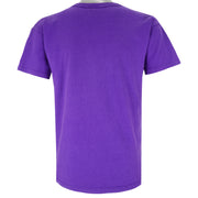 Champion - Purple Phoenix Suns T-Shirt 1990s Large Vintage Retro Basketball