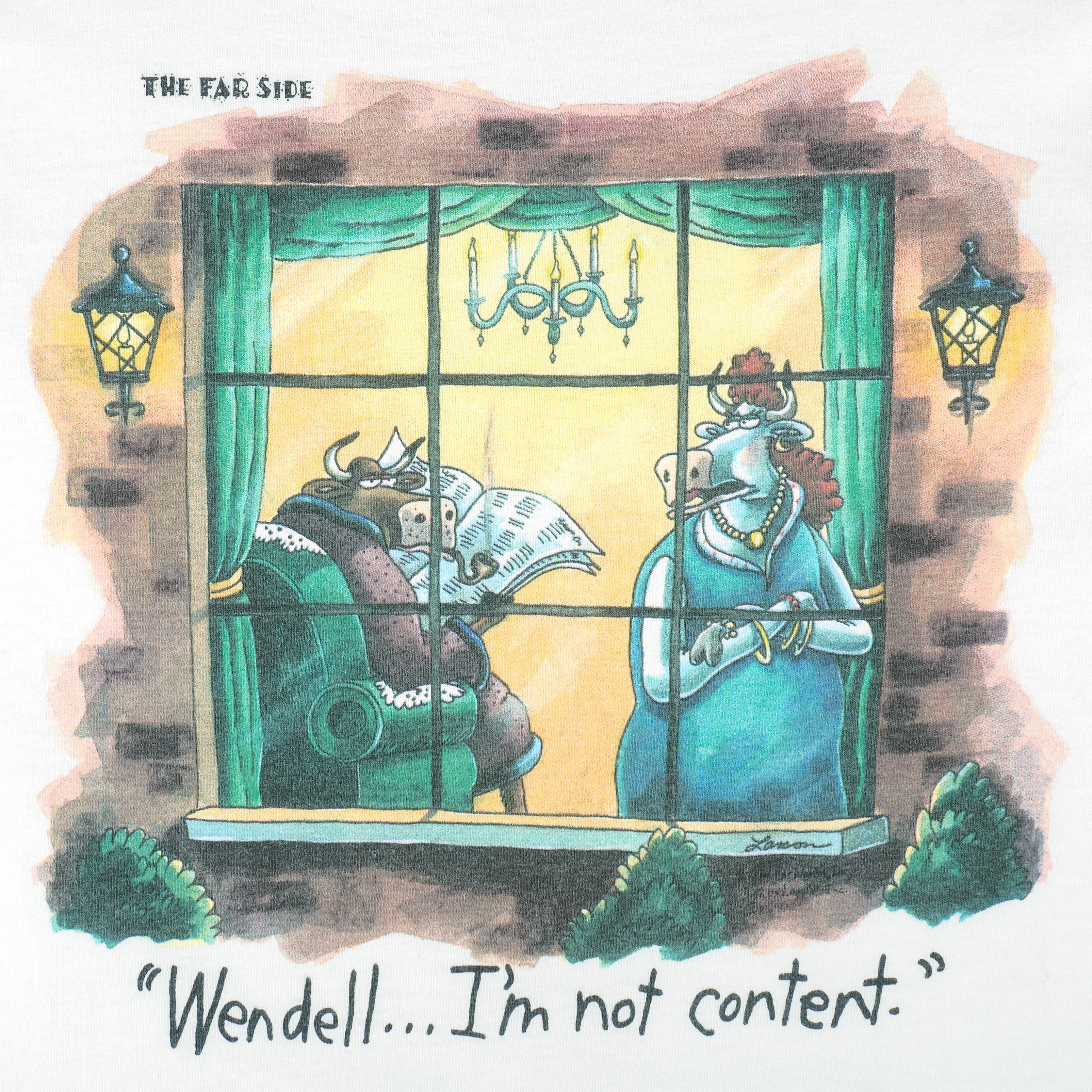 Vintage (The Far Side) - Wendell Im Not Content Deadstock 1990s Large Vintage Retro