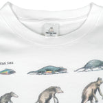 Vintage (The Far Side) - The Evolution Of Man T-Shirt 1992 Large Vintage Retro