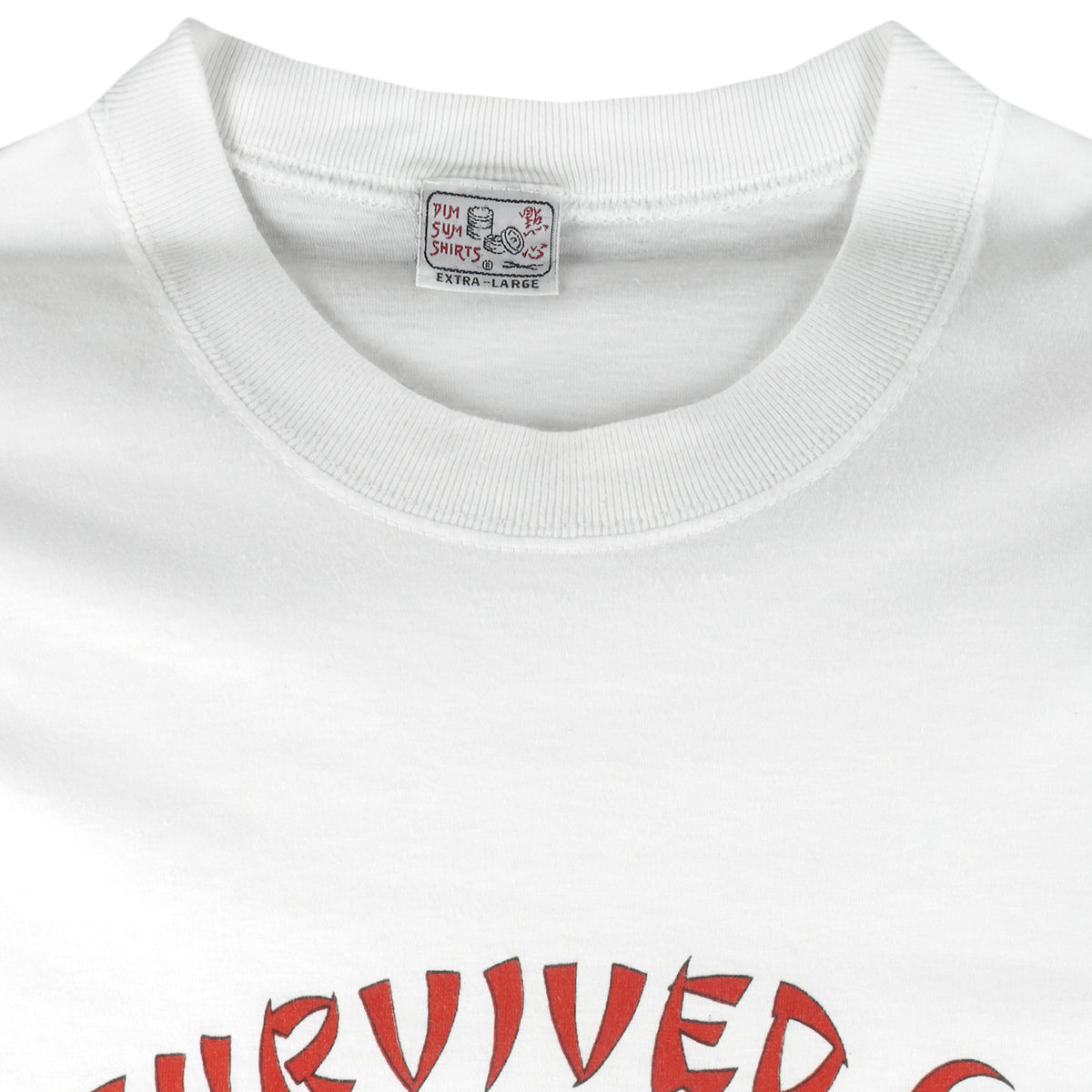 Vintage - I Survived China T-Shirt 1990s Large Vintage Retro