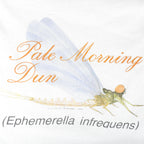 Vintage (Oneita) - Ephemeralla Infrequens Single Stitch T-Shirt 1990s Large Vintage Retro
