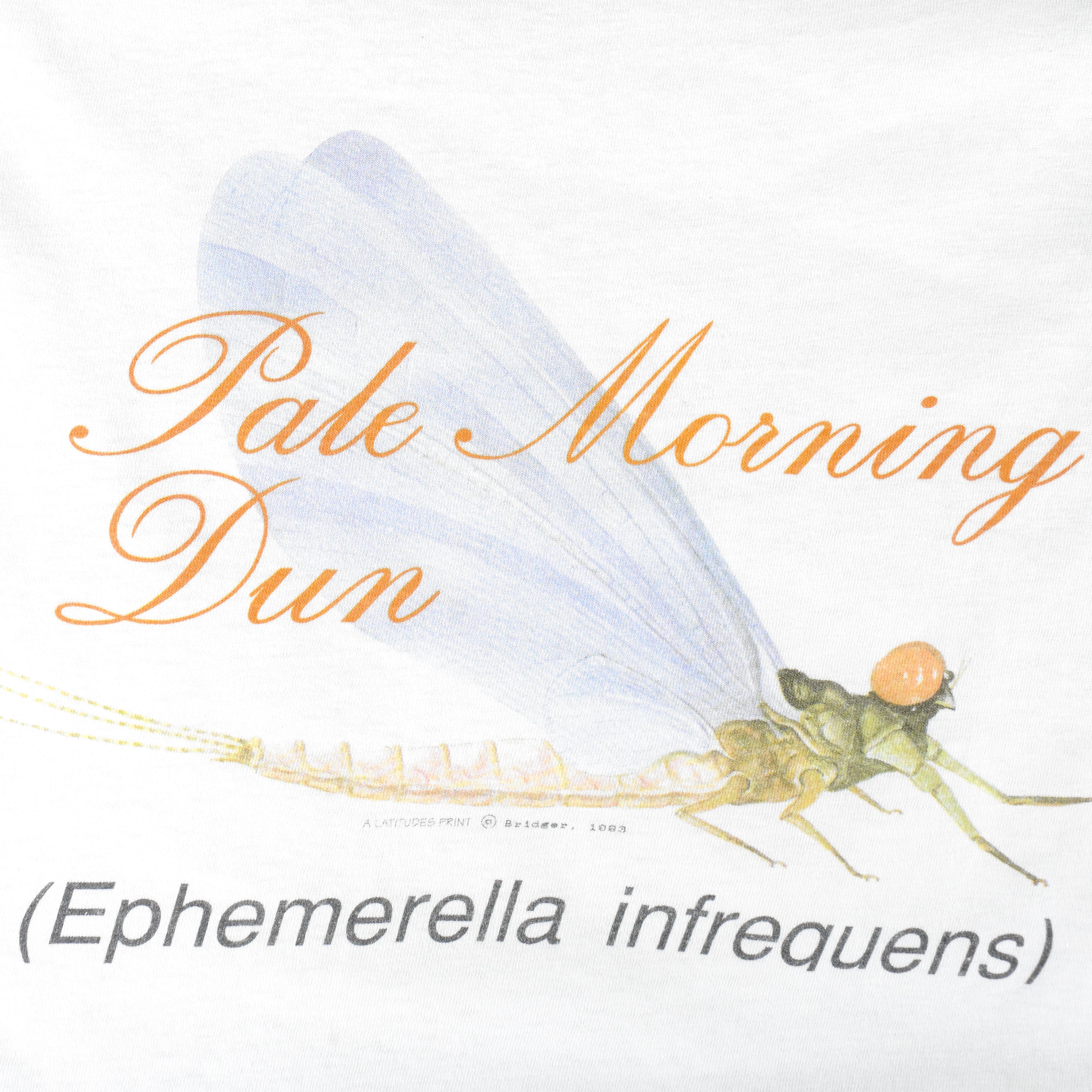 Vintage (Oneita) - Ephemeralla Infrequens Single Stitch T-Shirt 1990s Large Vintage Retro