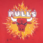 NBA (Hanes) - Chicago Bulls Single Stitch T-Shirt 1995 X-Large Vintage Retro Basketball