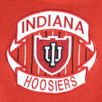 NCAA (Midwest) - Indiana Hoosiers Embroidered Crew Neck Sweatshirt 1990s Medium Vintage Retro Football College