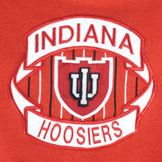 NCAA (Midwest) - Indiana Hoosiers Embroidered Crew Neck Sweatshirt 1990s Medium Vintage Retro Football College