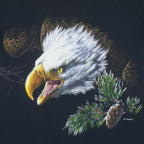 Vintage (Habitat) - Bold Eagle Print Single Stitch T-Shirt 1990s Large Vintage Retro